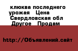 клюква последнего урожая › Цена ­ 200 - Свердловская обл. Другое » Продам   